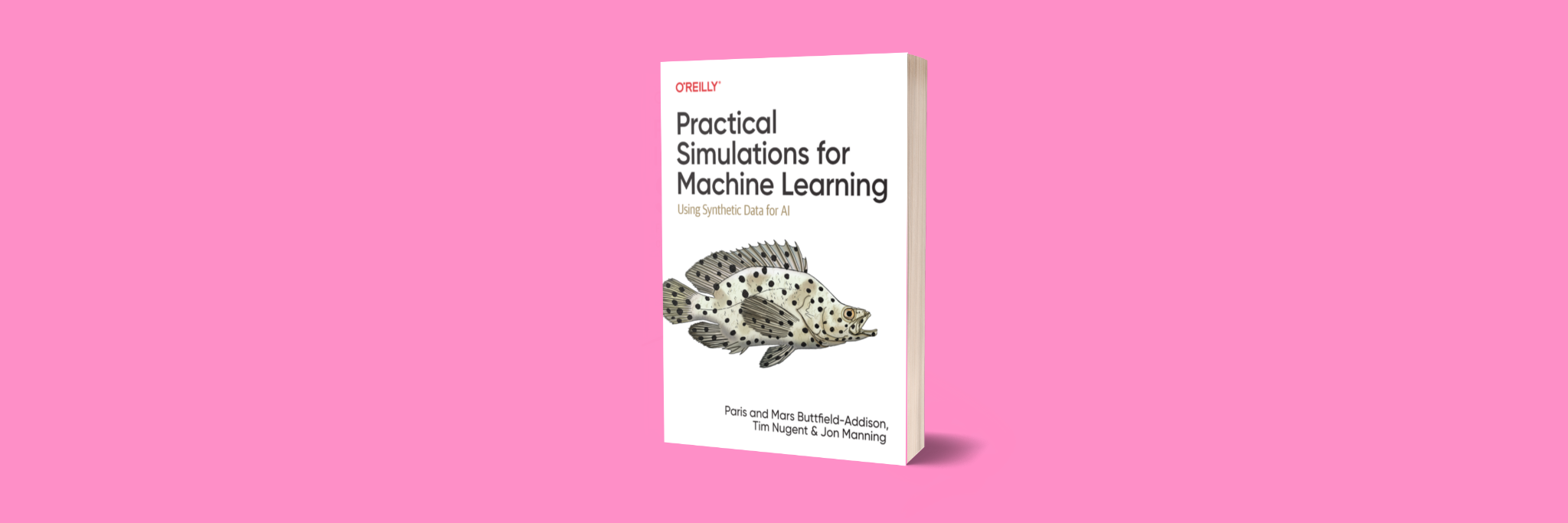 Practical Simulations for Machine Learning is out!