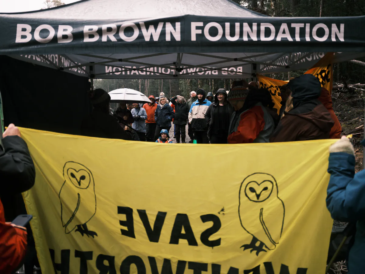 People gathered under a Bob Brown Foundation marquee in the rain, holding a yellow 'Save Wentworth Hills' banner with two painted owls.